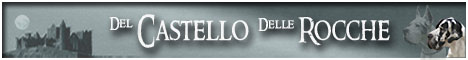 banner of the great danes breedingdel Castello Delle Rocche